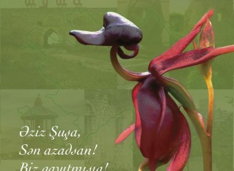 Zəfər xronikası. 8 noyabr 2020-ci il: Birinci vitse-prezident Mehriban Əliyeva Şuşa şəhərinin işğaldan azad edilməsi münasibətilə paylaşım edib