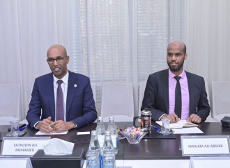 Somalinin Türkiyədəki səfiri Emin Əmrullayevlə görüşüb