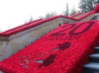Hazırlıqlar başa çatdı - “Şəhidlər Xiyabanı”ndan fotoreportaj