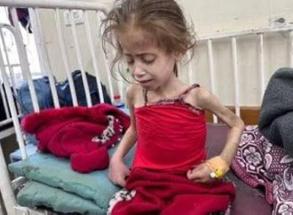 Qəzzada Humanitar Fəlakət və Soyqırım