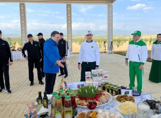 Türkmənistan prezidenti Azərbaycan stendi ilə tanış olub