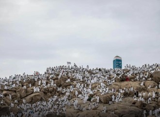 Arafat zəvvarları qarşılamağa hazırlaşır