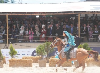 Ərdoğan Qarabağ nümayəndələrinin at şousunu ayaqüstə alqışladı