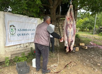 Al-Baraka Azərbaycan Xaçmazda Qurban Aksiyası Keçirdi