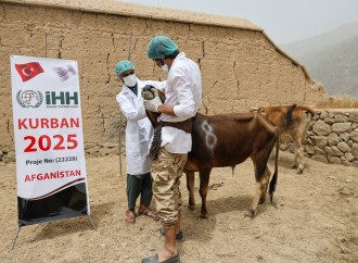 İHH Qurban Bayramı çərçivəsində 60 ölkəyə qurban paylayıb