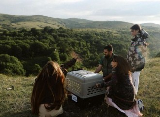 Heydər Əliyev Fondunun vitse-prezidenti Leyla Əliyeva və Bakı Media Mərkəzinin rəhbəri Arzu Əliyeva Altıağac Milli Parkını ziyarət ediblər