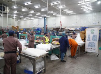 Al Baraka Azərbaycan Qəzzada “2025 Qurban Layihəsi” həyata keçirib