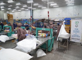 Al Baraka Azərbaycan Qəzzada “2025 Qurban Layihəsi” həyata keçirib