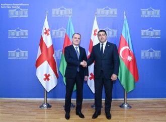 Ceyhun Bayramov Gürcüstanın spikeri ilə strateji tərəfdaşlığı müzakirə edib