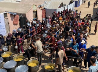 Al Baraka Azerbaijan Qəzzada humanitar aksiyaları davam etdirir