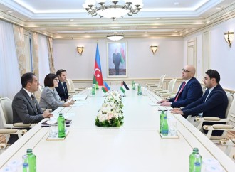 Milli Məclisin sədri Sahibə Qafarova Fələstin Dövlətinin ölkəmizdəki səfiri ilə görüşüb