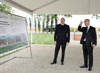 Prezident İlham Əliyev Xocalının Daşbulaq kəndində tut bağında görülmüş işlərlə tanış olub