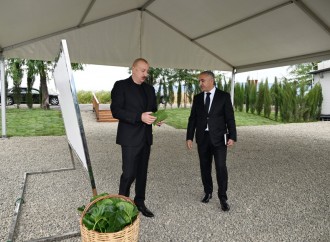 Prezident İlham Əliyev Xocalının Daşbulaq kəndində tut bağında görülmüş işlərlə tanış olub