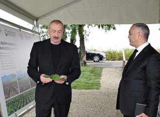 Prezident İlham Əliyev Xocalının Daşbulaq kəndində tut bağında görülmüş işlərlə tanış olub