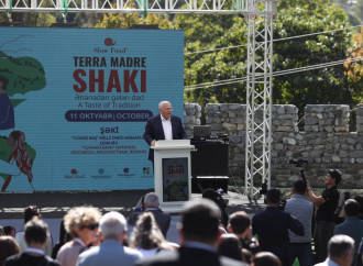 Şəki Terra Madre qastronomiya festivalına ev sahibliyi edir