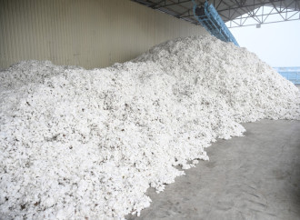 Prezident İlham Əliyev Sabirabadda pambıq emalı zavodunun fəaliyyəti ilə tanış olub