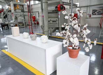 Prezident İlham Əliyev Sabirabadda pambıq emalı zavodunun fəaliyyəti ilə tanış olub