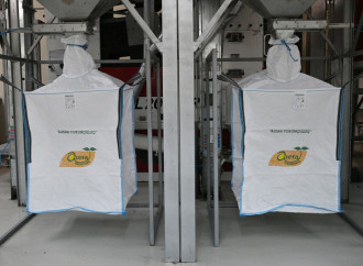 Prezident İlham Əliyev Sabirabad Sənaye Məhəlləsində toxum istehsalı müəssisəsinin fəaliyyəti ilə tanış olub