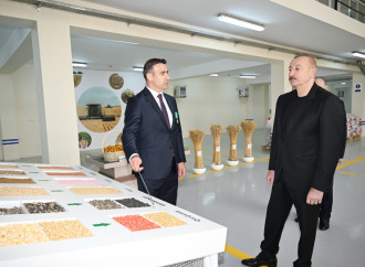 Prezident İlham Əliyev Sabirabad Sənaye Məhəlləsində toxum istehsalı müəssisəsinin fəaliyyəti ilə tanış olub