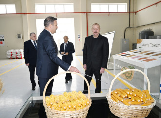 Prezident İlham Əliyev Sabirabad Sənaye Məhəlləsində toxum istehsalı müəssisəsinin fəaliyyəti ilə tanış olub