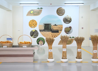 Prezident İlham Əliyev Sabirabad Sənaye Məhəlləsində toxum istehsalı müəssisəsinin fəaliyyəti ilə tanış olub