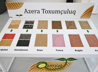 Prezident İlham Əliyev Sabirabad Sənaye Məhəlləsində toxum istehsalı müəssisəsinin fəaliyyəti ilə tanış olub