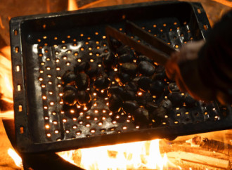 Heydər Əliyev Fondunun vitse-prezidenti Leyla Əliyeva Qəbələdə “Gənc arıçı” layihəsinin iştirakçısı ilə görüşüb