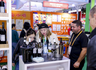 Azərbaycan 8-ci Çin Beynəlxalq İdxal Sərgisində iştirak edir