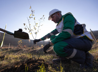 “AzerGold” QSC tərəfindən “Zəfər Günü” münasibətilə Göygöl və Daşkəsən rayonlarında ağacəkmə aksiyaları təşkil edilib