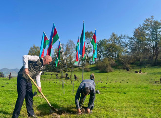 Zəfər Günü ilə əlaqədar meşə fondu torpaqlarında 30 mindən artıq ağac əkilib (FOTO)