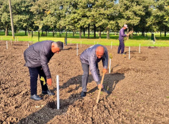 Zəfər Günü ilə əlaqədar meşə fondu torpaqlarında 30 mindən artıq ağac əkilib (FOTO)