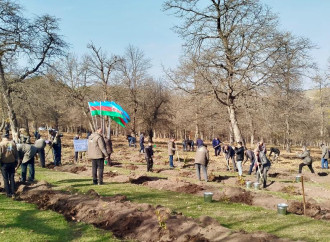 Zəfər Günü ilə əlaqədar meşə fondu torpaqlarında 30 mindən artıq ağac əkilib (FOTO)