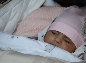 Xankəndidə Zəfərimizin 5 illiyi möhtəşəm bayram coşqusu ilə qeyd olunub (FOTO)