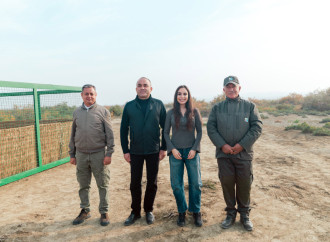 Heydər Əliyev Fondunun vitse-prezidenti Leyla Əliyeva Mingəçevirdə ekoloji aksiyalarda iştirak edib