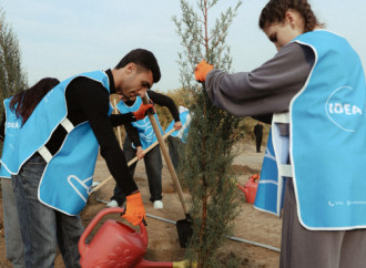 Heydər Əliyev Fondunun vitse-prezidenti Leyla Əliyeva Mingəçevirdə ekoloji aksiyalarda iştirak edib