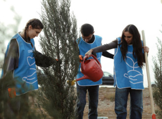 Heydər Əliyev Fondunun vitse-prezidenti Leyla Əliyeva Mingəçevirdə ekoloji aksiyalarda iştirak edib