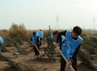 Heydər Əliyev Fondunun vitse-prezidenti Leyla Əliyeva Mingəçevirdə ekoloji aksiyalarda iştirak edib