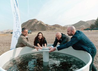 Heydər Əliyev Fondunun vitse-prezidenti Leyla Əliyeva Mingəçevirdə ekoloji aksiyalarda iştirak edib