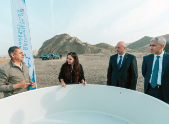 Heydər Əliyev Fondunun vitse-prezidenti Leyla Əliyeva Mingəçevirdə ekoloji aksiyalarda iştirak edib