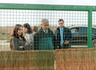 Heydər Əliyev Fondunun vitse-prezidenti Leyla Əliyeva Mingəçevirdə ekoloji aksiyalarda iştirak edib