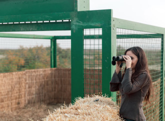 Heydər Əliyev Fondunun vitse-prezidenti Leyla Əliyeva Mingəçevirdə ekoloji aksiyalarda iştirak edib