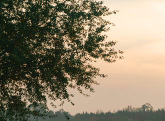 Heydər Əliyev Fondunun vitse-prezidenti Leyla Əliyeva Mingəçevirdə yerləşən avarçəkmə bazasında idmançılarla görüşüb