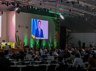 Yalçın Rəfiyev COP30-da Azərbaycanın milli bəyanatını təqdim edib