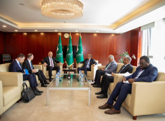 Prezidentin xüsusi tapşırıqlar üzrə nümayəndəsi Elçin Əmirbəyov Efiopiyada işgüzar səfərdə olub