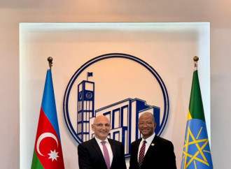 Prezidentin xüsusi tapşırıqlar üzrə nümayəndəsi Elçin Əmirbəyov Efiopiyada işgüzar səfərdə olub