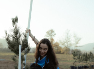 Leyla Əliyeva, Arzu Əliyeva və Alena Əliyeva Lənkəranda ekoloji aksiyalarda iştirak ediblər