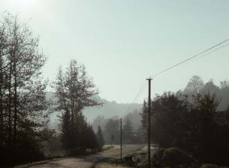 Leyla Əliyeva, Arzu Əliyeva və Alena Əliyeva Lənkəranda ekoloji aksiyalarda iştirak ediblər