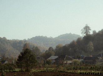 Leyla Əliyeva, Arzu Əliyeva və Alena Əliyeva Lənkəranda ekoloji aksiyalarda iştirak ediblər
