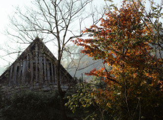 Leyla Əliyeva, Arzu Əliyeva və Alena Əliyeva Lənkəranda ekoloji aksiyalarda iştirak ediblər