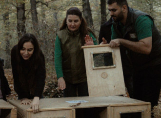 Leyla Əliyeva, Arzu Əliyeva və Alena Əliyeva Lənkəranda ekoloji aksiyalarda iştirak ediblər